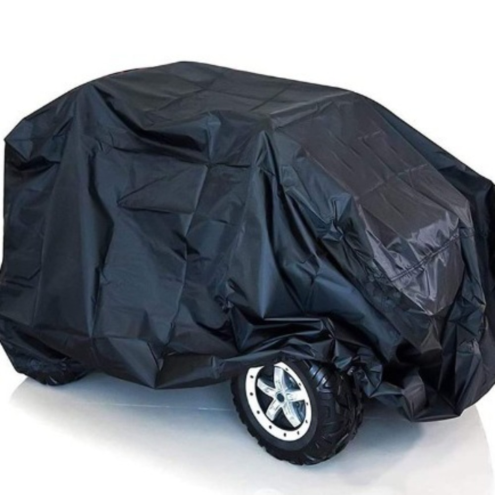 Electric Kids Ride-On Car Cove - Yunshen Rc Hobby review and price